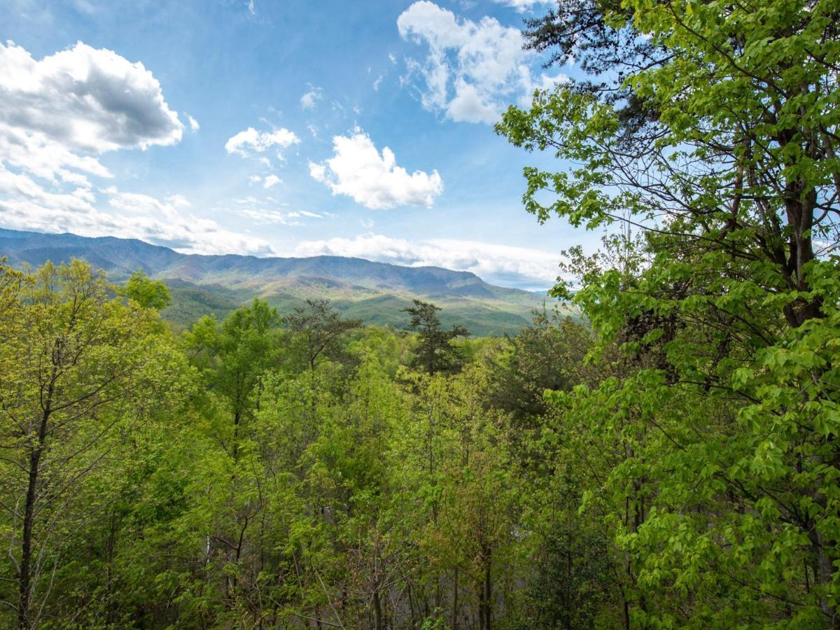 Edens View Villa Gatlinburg Kültér fotó